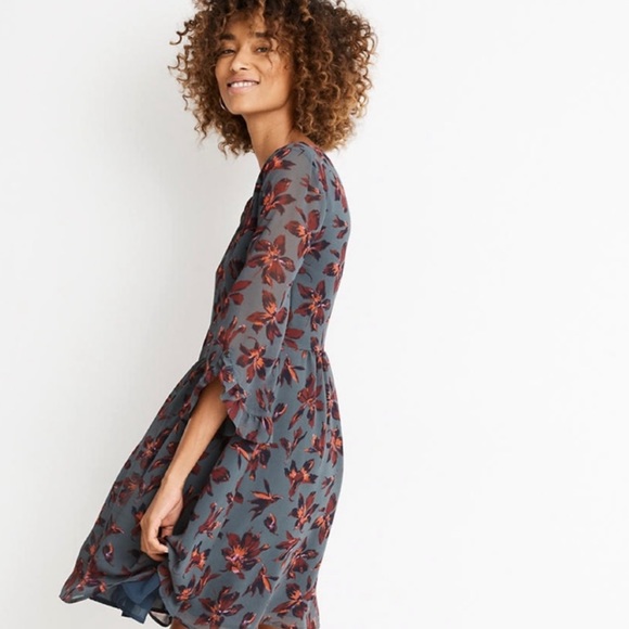 Madewell Sheer Ruffle Sleeve Mini Dress - Picture 2 of 13